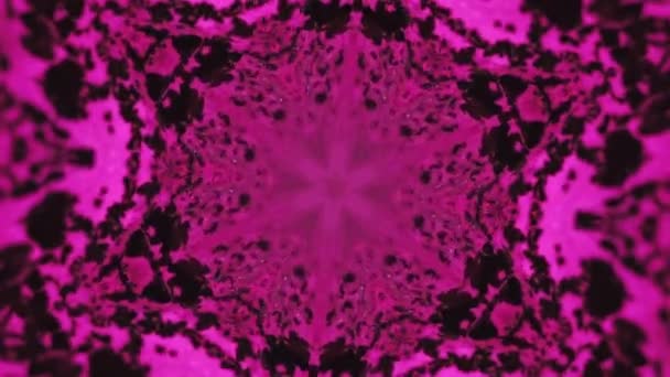 Mandala Inchiostro Caleidoscopio Vernice Sfocatura Magenta Rosa Nero Colore Incandescente — Video Stock