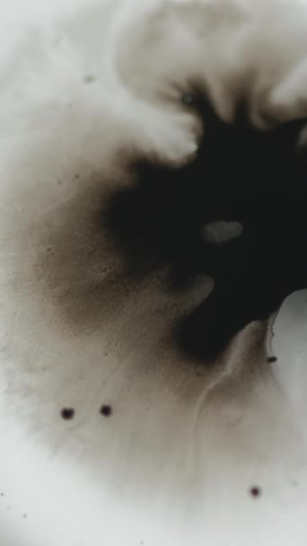 垂直录像 油漆飞溅 墨水水滴 湿土斑斑 白纹抽象背景下的脱色黑液斑点散射运动 — 图库视频影像