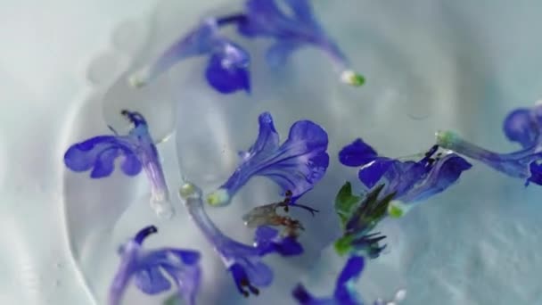 Eau Fleur Source Peinture Huile Bleu Déconcentré Gris Vert Couleur — Video