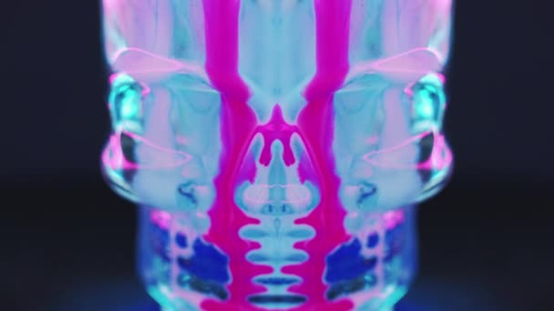 インクの頭蓋骨 ネオンスケルトン オカルトスペル 不分散蛍光ブルーピンク色のライトペイントフローサイバーヘッドダークブラック対称抽象アート背景 — ストック動画