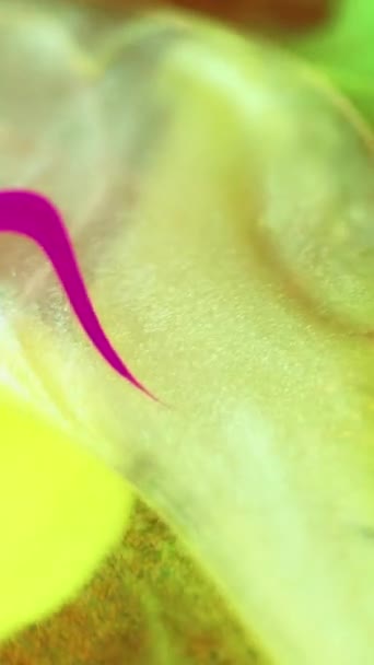 Vopsea Apă Bulă Ulei Culoare Defocalizat Neon Galben Aur Roz — Videoclip de stoc