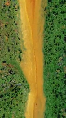 Dikey video. Işıldayan boya arka planı. Sıvı karışımı. Islak mürekkep dokusu. Soyut akrilik pigment sanatında gümüş yüzeyde parlayan yeşil, siyah, parlak, karışık damlalar..