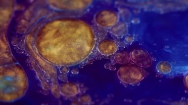 Parlayan yağ damlaları. Boya akışı. Parlak emülsiyon. Islak parlatıcı. Odaklanmamış mavi çivit mavisi, mor, altın sarısı, parıldayan parçacıklar, su damlaları, mürekkep akışkan hareket, soyut sanat arka planı..