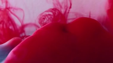 Sıvı sıçraması. Duman boyası. Parlak kırmızı kan rengi su sıvısı bulanık sis dalgası çözünmüş beyaz soyut sanat arka planında.