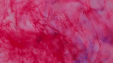 Boya sıçraması. Biyoloji mürekkebi. Odaklanmamış kırmızı mavi renk damlayan kan sıvısı dökülen damarlar ıslak doku içindeki akışkan hareketler soyut sanat arkaplanı.