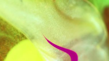 Suyu boya. Renkli yağ balonu. Odaklanmamış neon sarısı, pembe, karışık, sisli, şeffaf, simli, sıvı, yüzen, soyut sanat arkaplanı..