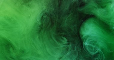 Pırıltılı sis. Mürekkep suyu. Parlak yeşil boya dokusu. Hipnotize edici, soyut sanat arkaplanı. Siyah fındıklar..