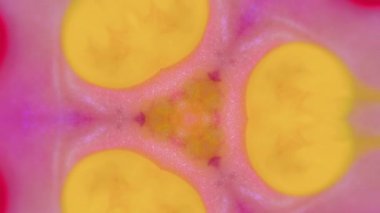 Su damlasını boya. Mürekkep kaleydoskop. Bulanık, parlak, pembe, parıltılı boya, yuvarlak, geometrik tasarım, soyut sanat arka planı..