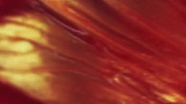 Parıltı hareketi. Parıldayan yağ. Odaklanmamış altın turuncu renkli bal hücresi sıvısı ışkan partiküller lüks boya soyut sanat arka planı.