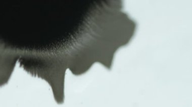 Mürekkep sıçraması. Boya damlası. Bulanık siyah sıvı damlası beyaz parçacıklara yayılıyor kağıt desen soyut arkaplan açıcı etkisi.