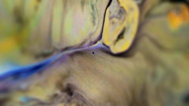 Parlak sıvı damlası. Mürekkep döküldü. Odaklanmamış siyah beyaz mavi renk katmanları parıldayan pullu parçacıklar desen boya emülsiyon sızıntısı soyut sanat arkaplan hareketi.