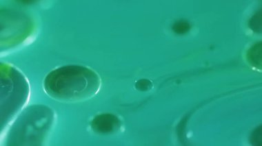 Yağ kabarcıkları. Köpüklü sıvı. Odaklanmamış yeşil renk şeffaf yuvarlak damlacıklar yüzen jel dokusu boya su akışı hareket soyut sanat arka planı.