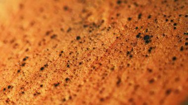 Parçacık sıvısı. Işıldayan boya akışı. Odaklanmamış altın bronz siyah renk parlak kum dokusu parlatıcı dalga soyut sanat arka planı.
