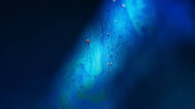 Bulanık boya akışı. Mermer eğri. Odaklanmamış mavi renk ıslak kimyasal emülsiyon koyu siyah soyut sanat arka planında dalga ışığı parlaması.