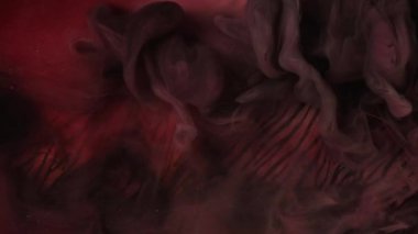 Patlama sisi. Boya suyu sıçraması. Odaklanmamış siyah kırmızı renk sim parçacıkları dumanı bulutu zebra desenli soyut sanat arkaplanı hareketini ortaya çıkardı.