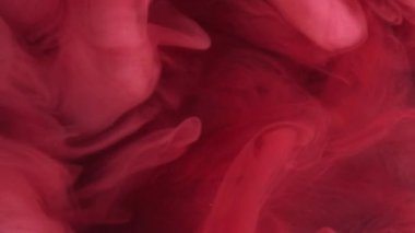 Buhar yüzüyor. Su damlasını boya. Bulanık kırmızı renk toz dokusu duman dalgası akışı siyah soyut sanat arka planında açıcı hareket.