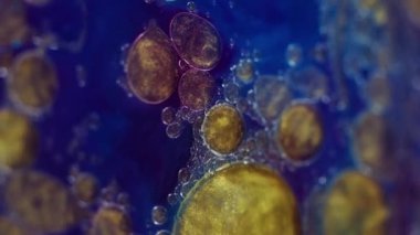 Parlayan yağ damlaları. Boya akışı. Parlak emülsiyon. Islak parlatıcı. Odaklanmamış mavi çivit mavisi, mor, altın sarısı, parıldayan parçacıklar, su damlaları, mürekkep akışkan hareket, soyut sanat arka planı..