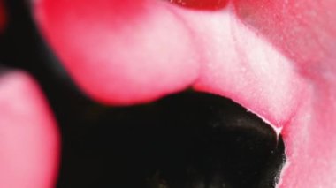 Boya dökülmüş. Mürekkep karışımı. Bulanık pembe renkli parlak parçacıklar akrilik akışkan karışım hareketi soyut sanat arka planı.