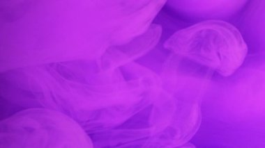 Renkli sis akışı. Mürekkepli su sıçraması. Odaklanmamış mor floresan pembe buhar dalgası serbest alan ile hareket soyut sanat arkaplanı ortaya çıkarıyor.