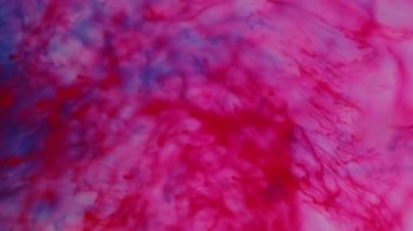 Boya sıçraması. Biyoloji mürekkebi. Odaklanmamış kırmızı mavi renk damlayan kan sıvısı dökülen damarlar ıslak doku içindeki akışkan hareketler soyut sanat arkaplanı.
