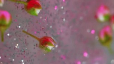 Parlayan çiçekler. Parıldayan boya. Odaklanmamış pembe gümüş rengi parlak gül tomurcukları ışıl ışıl pullarda yüzer sıvı bokeh soyut sanat arka planında.