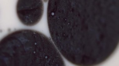 Parlak kabarcıklar. Mürekkep yağı. Odaklanamayan siyah beyaz lekeler sıvı füzyon baloncuğunu dönüştürür ıslak doku hareketi soyut sanat arkaplanı.