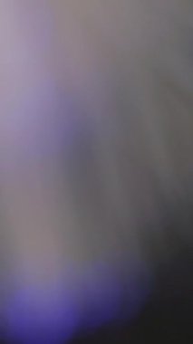 Dikey video. Odaklanamayan parıltı. Bokeh ışığı. Sahne aydınlatması. Bulanık, neon, yeşil, kırmızı, yuvarlak, ışıl ışıl, siyah, fraktal, soyut sanat arka planındaki ışık deseni..