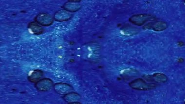 Dikey video. Parıldayan sıvı dökülmüş. Fraktal boya. Yağ kabarcıkları. Odaklanmamış mavi renk ışıldayan parçacıklar desen mürekkep akışı simetrik süsleme soyut sanat arkaplanı.