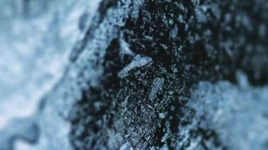 Sıvı sim dökülmüş. Işıldayan boya. Odaklanmamış siyah gümüş rengi parlak metalik tanecikler desen mürekkep emülsiyon sıvı hareket soyut sanat arka planı.