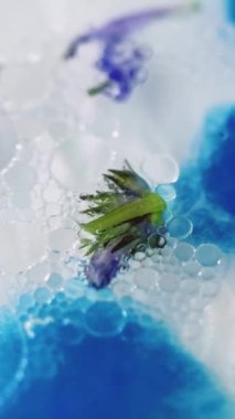 Dikey video. Çiçek yağı. Bitkisel sıvı. Odaklanamayan taze organik yeşil yapraklar mavi beyaz serum özlü su jel baloncuğu özlü arka planda akıyor..