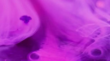 Neon mürekkep sıvısı. Su karışımı boya. Odaklanmamış pembe renk şeffaf yağ kabarcıkları yüzen sıvı akış hareketi soyut sanat arka planı.