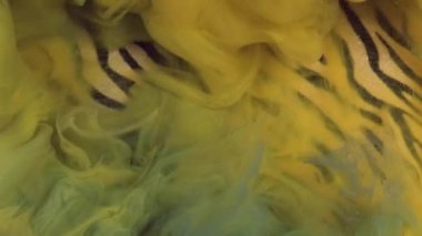 Köpüklü buhar. Suyu boya. Odaklanmamış sarı renk parçacıkları dokusu sualtı sis akışı hareketi zebra desenli soyut sanat arkaplanı.