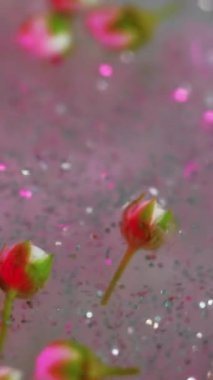 Dikey video. Parlayan çiçekler. Parıldayan boya. Odaklanmamış pembe gümüş rengi parlak gül tomurcukları ışıl ışıl pullarda yüzer sıvı bokeh soyut sanat arka planında.