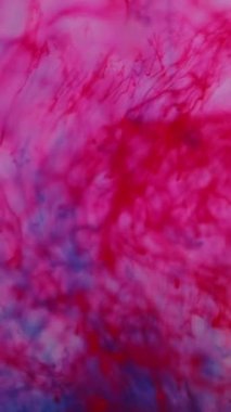 Dikey video. Suyu boya. Biyoloji mürekkebi. Odaklanmamış kırmızı renk damlayan kan sıvısı dökülen kılcal damar sıvısı ıslak doku soyut sanat arka planında hareket ediyor..