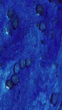 Dikey video. Islak sim damlası. Boya baloncukları. Odaklanmamış mavi renkli köpük desenli yağlı mürekkep sızıntısı soyut sanat arka planı.