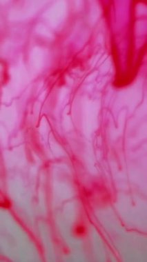 Dikey video. Kan damarları. Mürekkep simetrik. Odaklanmamış kırmızı renk sıçrayan kılcal damarlar sıvı kan damlayan boya damlayan süs akışı hareket soyut sanat arka planı.