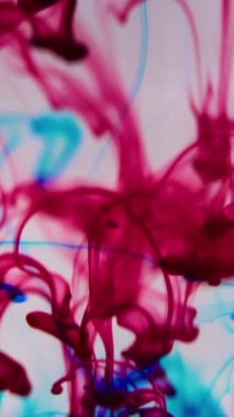 Dikey video. Mürekkep sıçraması. Boya dumanı. Bulanık kırmızı renk boya pigmenti sızıntısı iz sıvısı buhar etkisi ışık soyut sanat arka planında girdap hareketi.