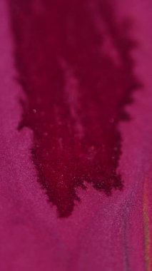 Dikey video. Boya dökülmüş. Islak sim damlası. Odaklanmamış parlak kırmızı mavi renk parlak parçacıklar dokusu akrilik mürekkep dalgası hareketi soyut sanat arkaplanı.