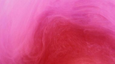 Soyut renk. Dönen mürekkep. Odaklanmamış parlak pembe boya dumanı duman bulutu duman buharı sanat arka planında hareket ediyor.