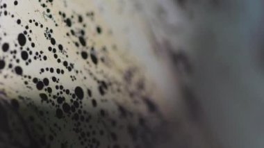 Odaklanmış kabarcık sıvısı. Mürekkep akışı. Bulanık siyah sarı renkli köpüklü yağlı, ıslak kimyasal emülsiyon dalgası soyut sanat arka planı.