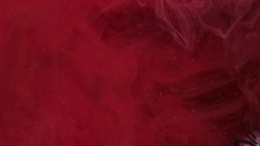 Boya suyu akışı. Buhar bulutu. Odaklanmamış pembe renk su altı toz bulutu girdap dalgası parlak zebra desenli soyut sanat arka planında hareketlilik gösteriyor.