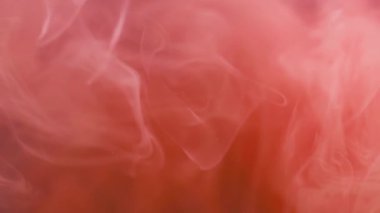 Muazzam bir sis. Duman bulutu. Odaklanmamış parlak mercan pembesi boya mürekkebi akışı girdabı soyut sanat arka planında ilerliyor.