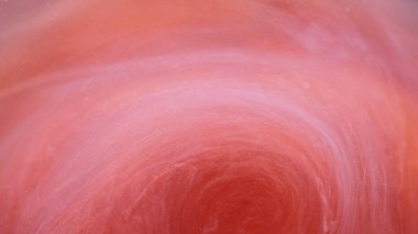 Kıvrıl kıvrıl. Parlak parçacıklar. Soyut sanat arka planında suyun içinde yüzen odaklanmış kırmızı pembe renk buharı bulut boya dokusu.