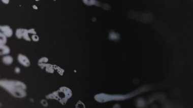 Akrilik dökülmesi. Köpüklü su. Odaklanmamış mavi yağ dokusu emülsiyon damlacıkları koyu siyah soyut sanat arka planında yüzer..