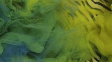 Köpüklü buhar. Suyu boya. Odaklanmamış yeşil renkli sim parçacıkları su altı sis akış hareketi zebra desenli soyut sanat arka planında.