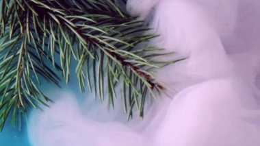 Sis çamı filizi. Buhar bulutu. Mavi pembe mürekkepli yeşil iğne ağacı. Su buharı, yüzen dalga dokusu. Kış soyut arkaplan..