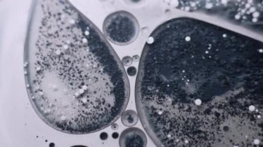 Boya sıvısı. Yağ pigmenti düşüyor. Gri siyah beyaz grunge sıvı şeffaf daireler. Odaklanmamış yaratıcı karışım içeriği soyut arkaplan.