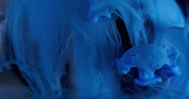 Sis dalgası. Boya dökülmüş. Mavi akıntı siyah mistik küreye düşüyor. Duman çözünen renk pigmenti su soyut arkaplan bulanık yüzey.