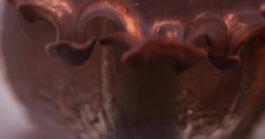 Duman suyu sisi. Bulanık boya parlıyor. Odaklanmamış bronz rengi sıvı damlalar soyut sanat arka planında sıvı buhar dokusu dalgası.