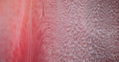 Damlayan su dokusu. Bulanık şeffaf sıvı. Odaklanmamış beyaz pembe renk parlaklığı soyut ışık arkaplan üzerinde sıvı duman dalgası gönderir.